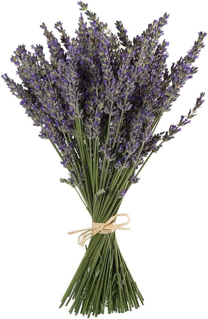 TooGet Natural Lavender Bundles, Freshly Harvested 200+ Stems Dried Lavender Bunch 16" - 18" Long... | Amazon (US)