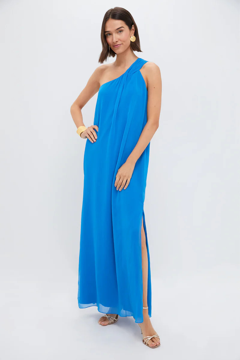 Baleine Blue Soleil Gown | Tuckernuck (US)