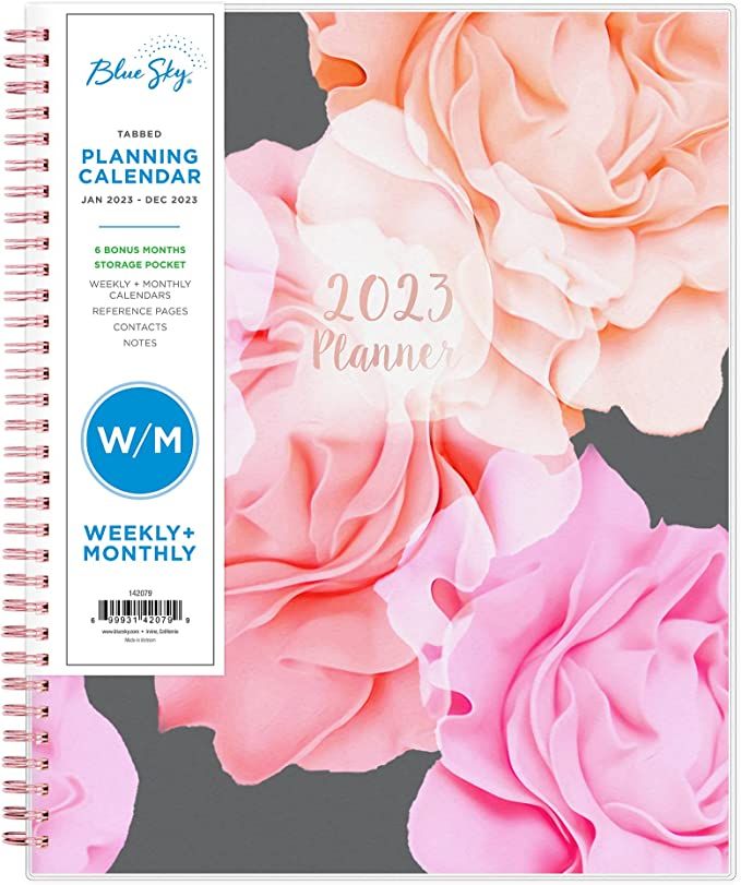 Blue Sky 2023 Weekly and Monthly Planner, January - December, 8.5" x 11", Frosted Cover, Wireboun... | Amazon (US)