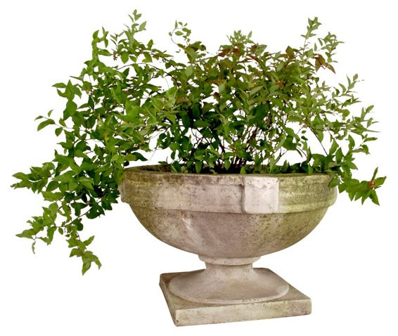 Smooth Strap Urn, White Moss | One Kings Lane