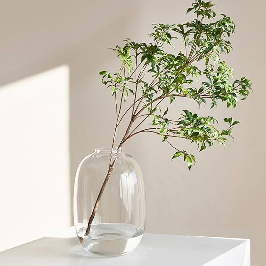 Clear Glass Vase for Flowers, Round Oval Decorative Vase for Home Table Centerpieces and Farmhous... | Amazon (US)