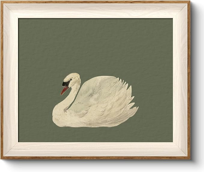 VIYYIEA Framed Wall Art for Living Room, Swan Canvas Prints, Green Home Decor, Animals Painting P... | Amazon (US)