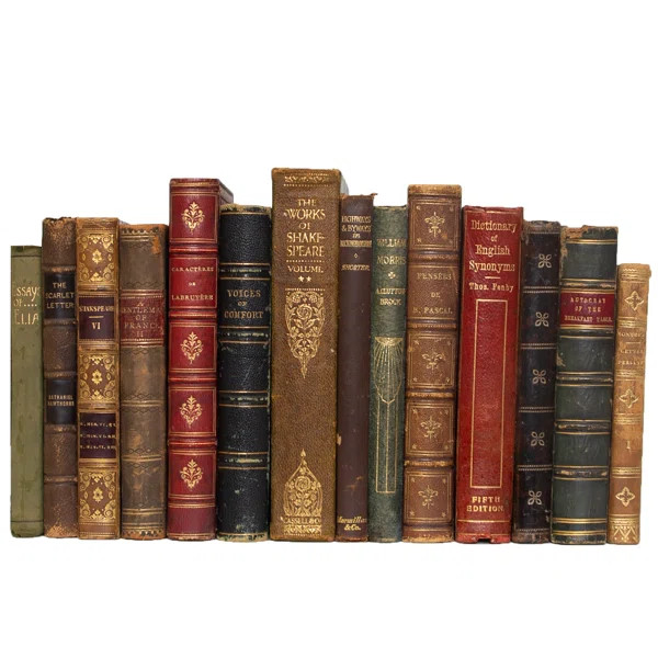 ColorPak Petite Vintage Decorative Book | Wayfair North America