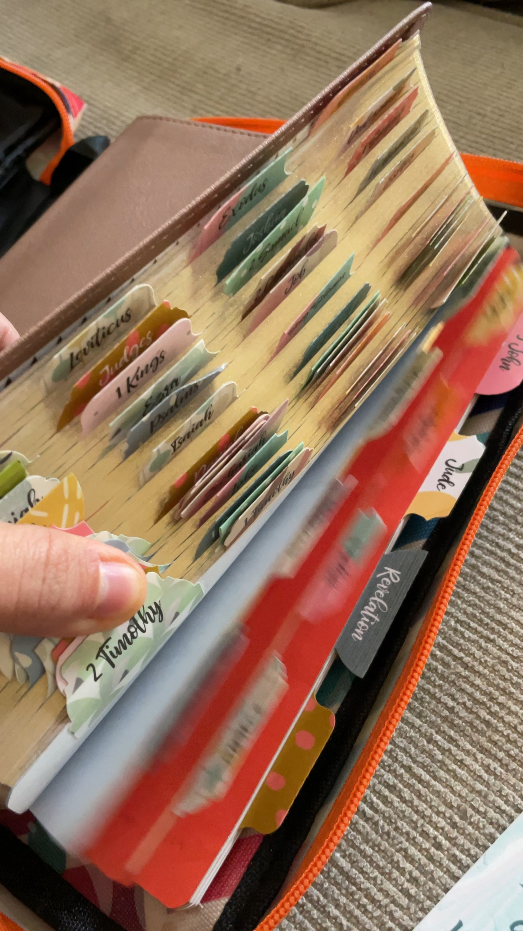 Bible Organization | Cute Bible | Gifts for Women | Bible Study | Pink Bible 

#LTKMostLoved #LTKGiftGuide #LTKfamily