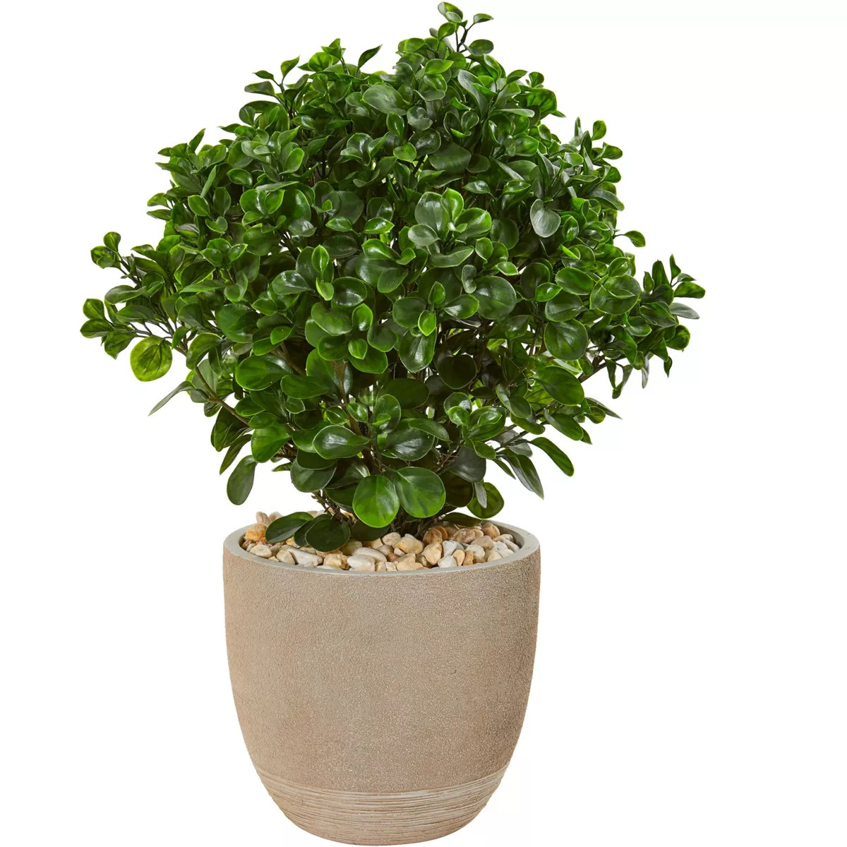 Nearly Natural 30-in Peperomia Artificial Plant in Sand Stone Planter UV Resistant (Indoor/Outdoo... | Target