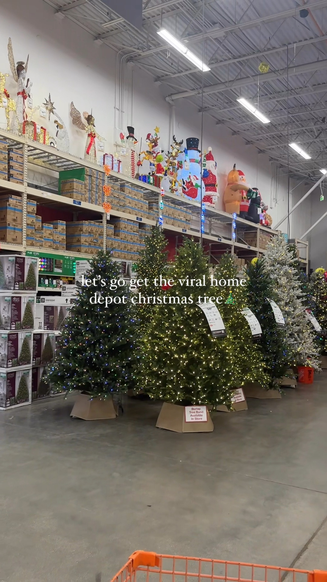 Back in stock! My christmas budget went out the window but its sooo worth it #grandduchessbalsamfir #homedepotchristmastree #viralchristmastree #nastolgicchristmas #holidayseason #beautifulchristmas

#LTKHoliday #LTKVideo #LTKHome