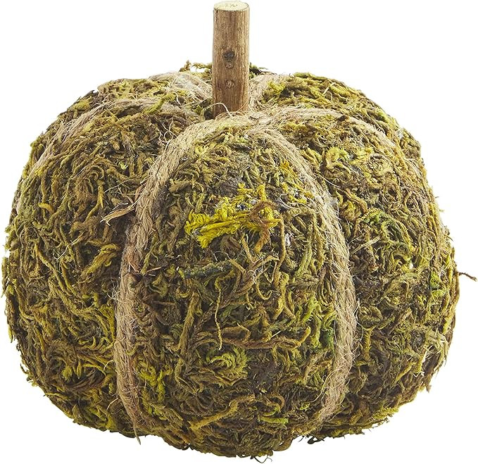 Mud Pie Preserved Moss Pumpkin, Small Table Sitters | Amazon (US)
