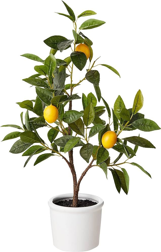 Amazon Brand - Stone & Beam Artificial Lemon Citrus Tree with Ceramic Pot, 2 Feet (24 Inches), In... | Amazon (US)