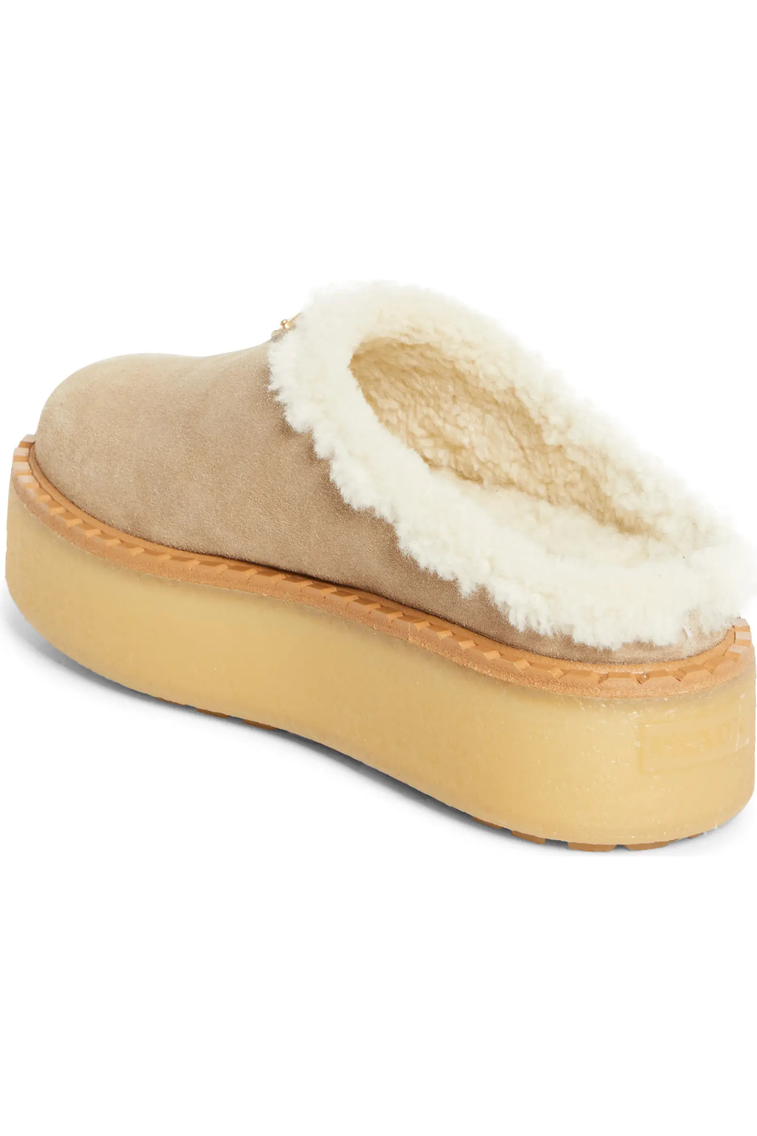 Evolve Genuine Shearling Clog (Women) | Nordstrom | Nordstrom