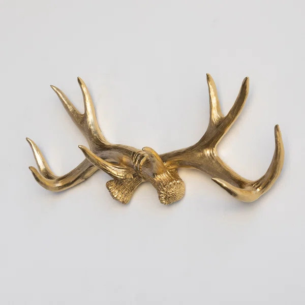 Bellefonte 16.75'' Wide Wall Hook | Wayfair North America