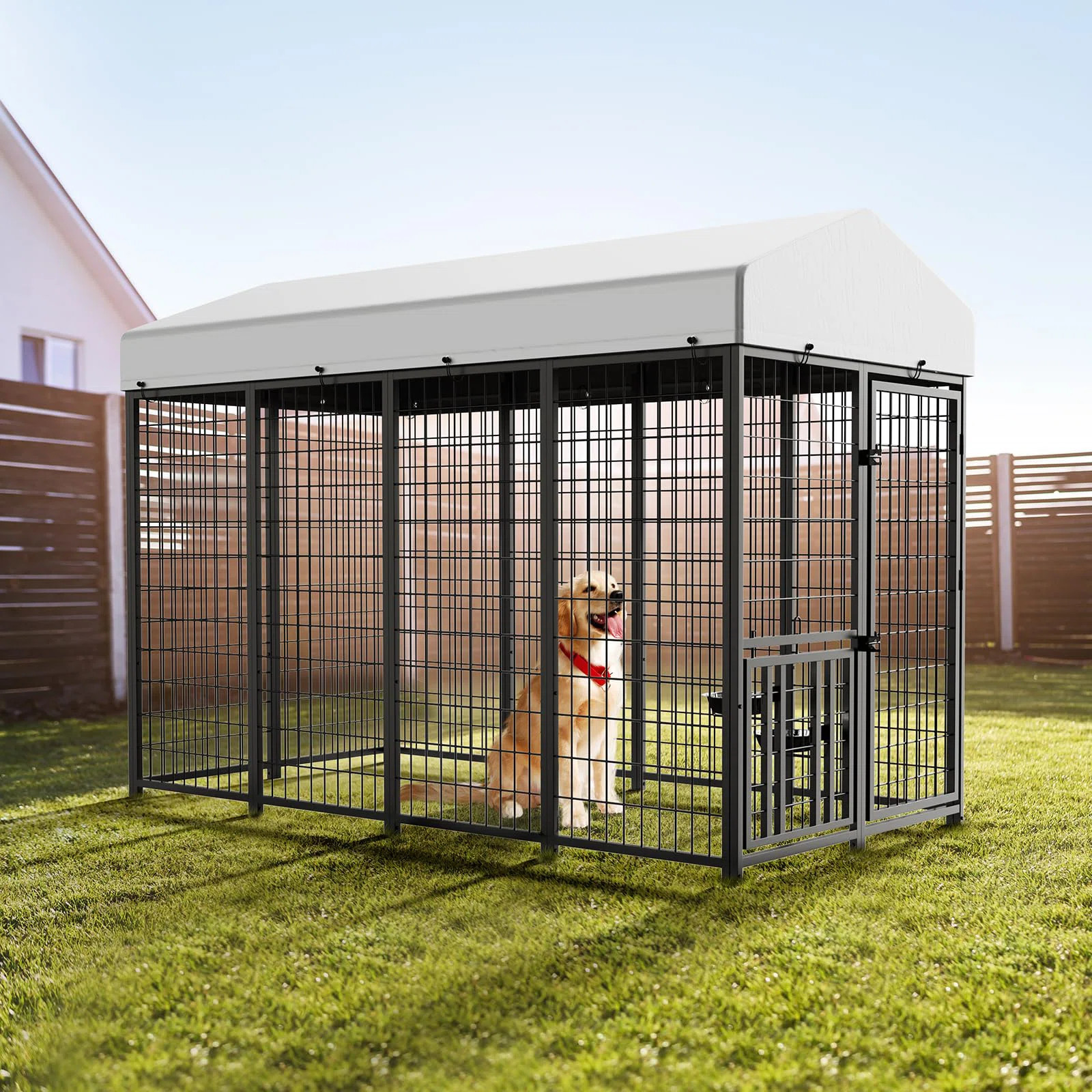 Metal Yard Kennel With Door | Wayfair North America
