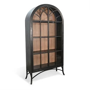 Pemberly Row Contemporary Glass Display Solid Wood Cabinet in Black | Homesquare