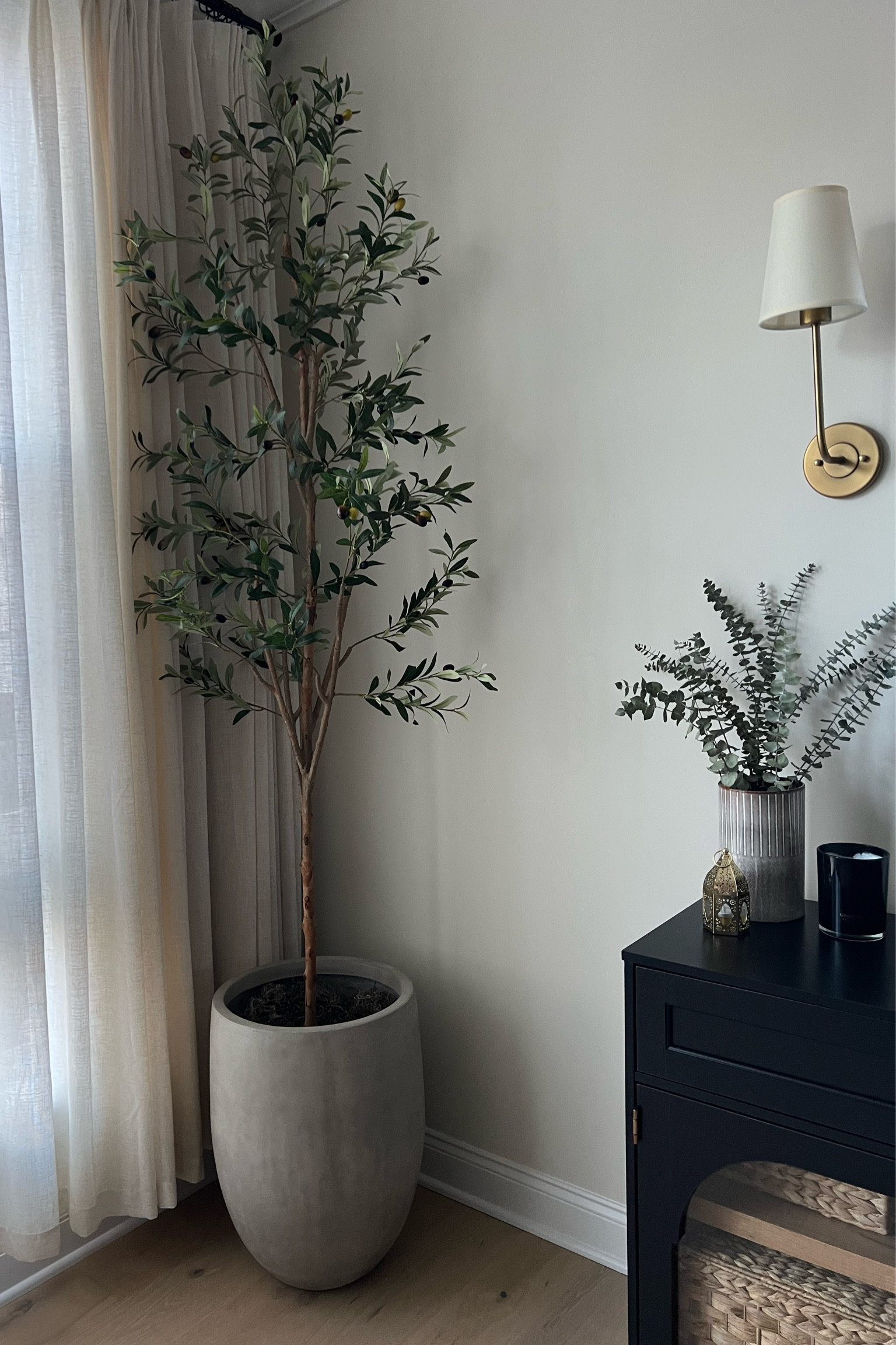 My favorite Olive Tree is on SALE 🚨 #amazonhome #modernorganic #amazonfinds #olivetree

#LTKfindsunder100 #LTKSpringSale #LTKhome
