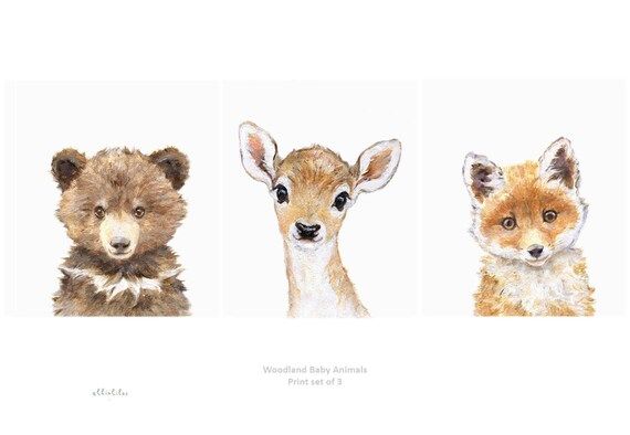Watercolor nursery animal print set fox wall art bear deer | Etsy | Etsy (US)