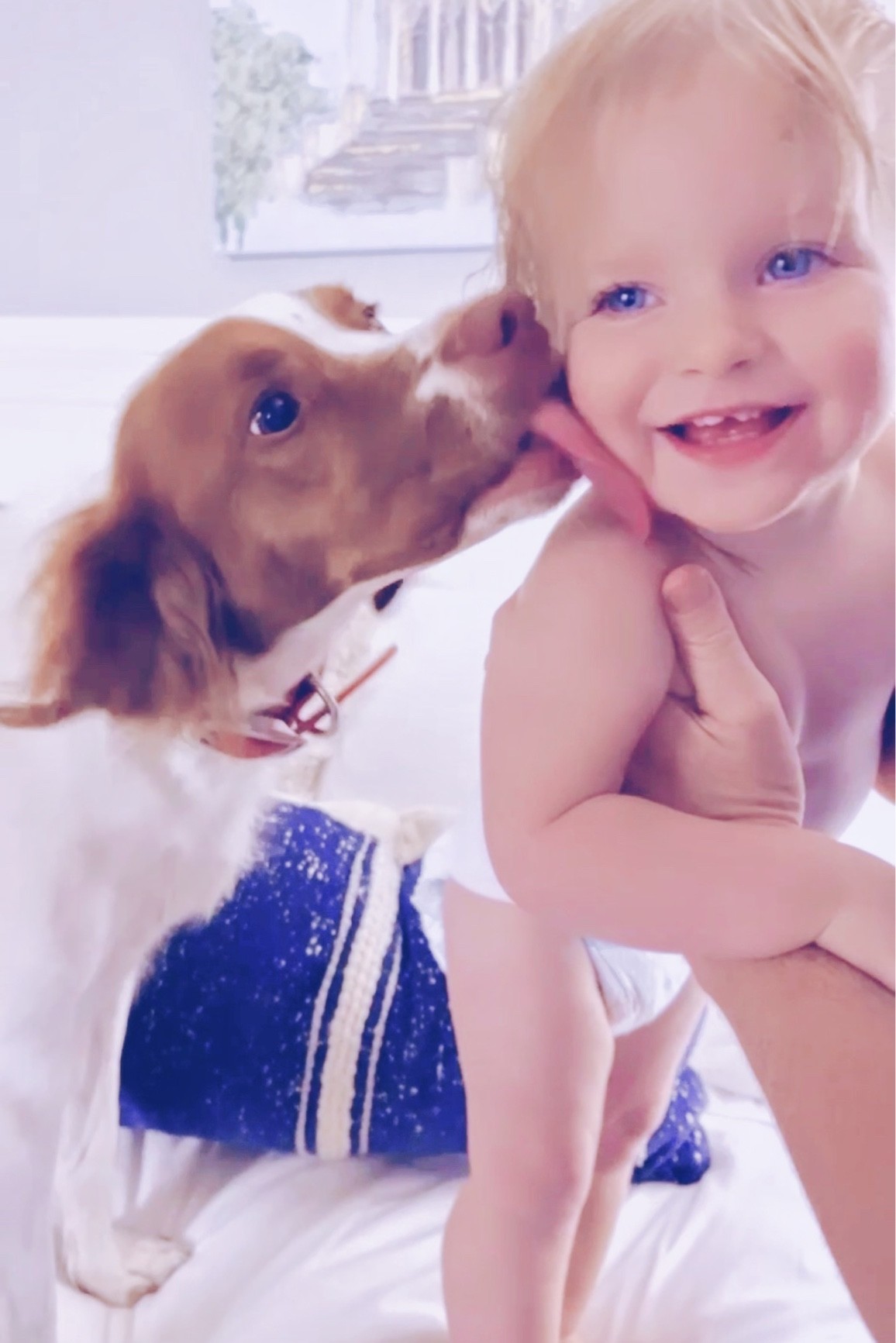 You’ve got a friend in me 👼🏼🐶💙

#LTKbaby #LTKfamily #LTKhome