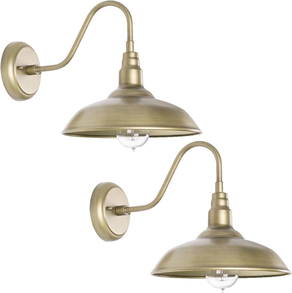 Brass Outdoor Gooseneck Light, 10'' Diameter Gooseneck Barn Wall Sconce for Porch, Exterior Water... | Amazon (US)