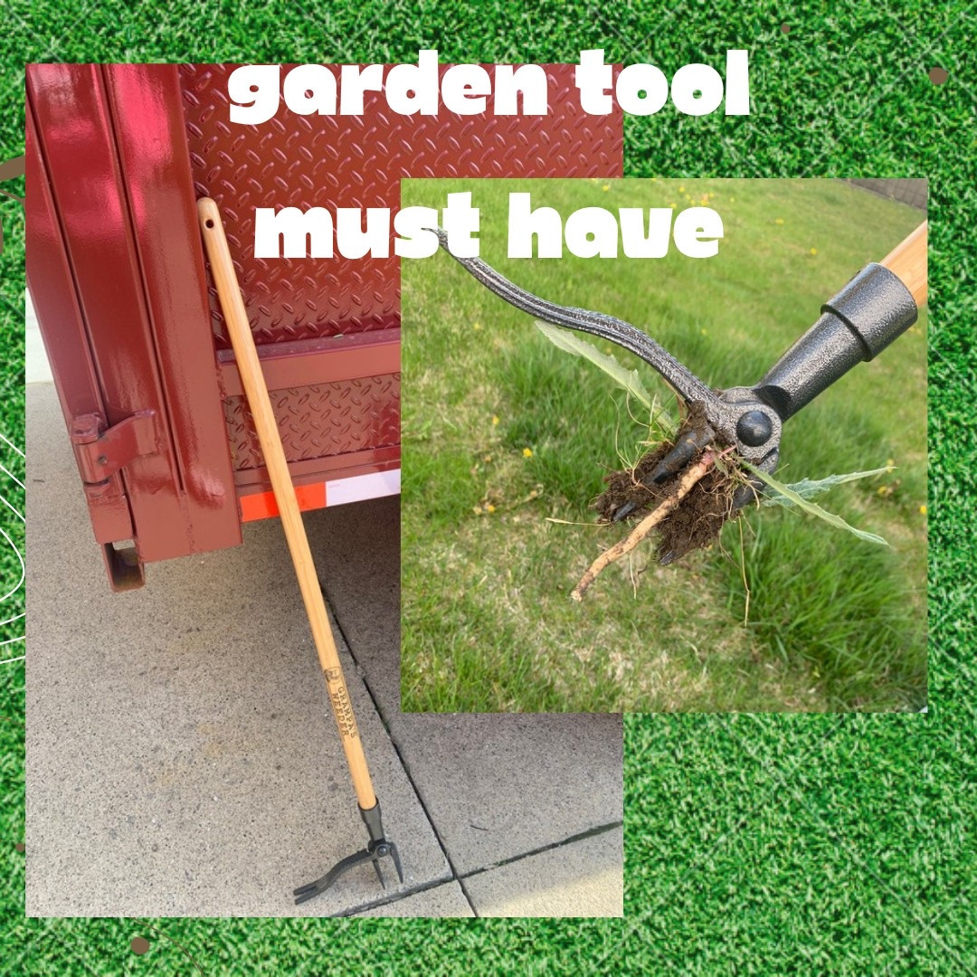 Not my normal share 😂 but this little tool is amazing!! I hate pulling weeds by hand and this tool makes it so much faster and easier. No bending down, no digging, just step and pull. It pulls it all the way to the root.  
#yardtool #gardening #lawn

#LTKFindsUnder50 #LTKSeasonal #LTKHome