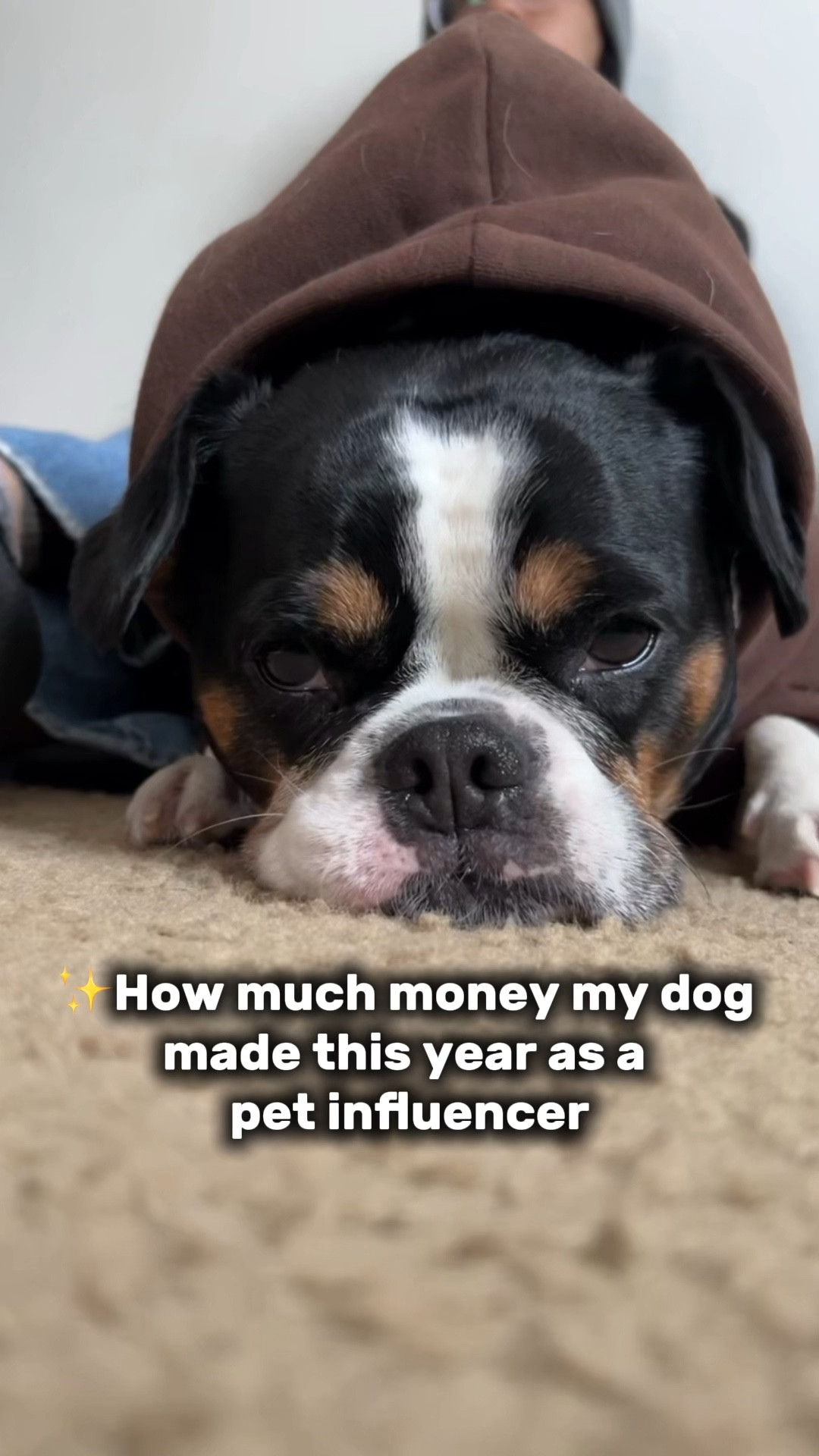 How much my dog made this year as a tiny pet influencer 💙🐶

We’re honestly just grateful! 🥰 This past year has been filled with cozy moments, funny memories, and a small little community that supports us more than you know. Whether Rio makes $0 or $1000, we’re just happy to share our cute & silly videos!

Thank you for being here — truly 🙏 

📌Follow for more funny dog videos, dog mom life, frenchie life, dog vlogs & routines, and more!


#LTKmorningroutine #LTKdayinmylife #LTKSaleAlert