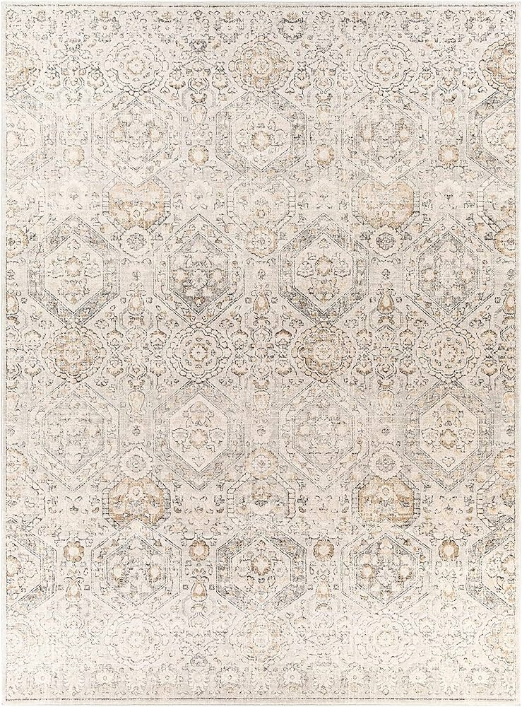 Bluffs Moroccan Farmhouse Living Room Bedroom Dining Room Area Rug - Bohemian Style - Boho Vintag... | Amazon (US)