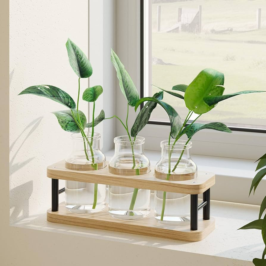 THYGIFTREE Plant Propagation Station with Wooden Stand, Propagation Vases Glass Planters for Indo... | Amazon (US)