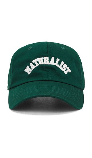 Museum of Peace and Quiet Naturalist Dad Hat in Green. | Revolve Clothing (Global)