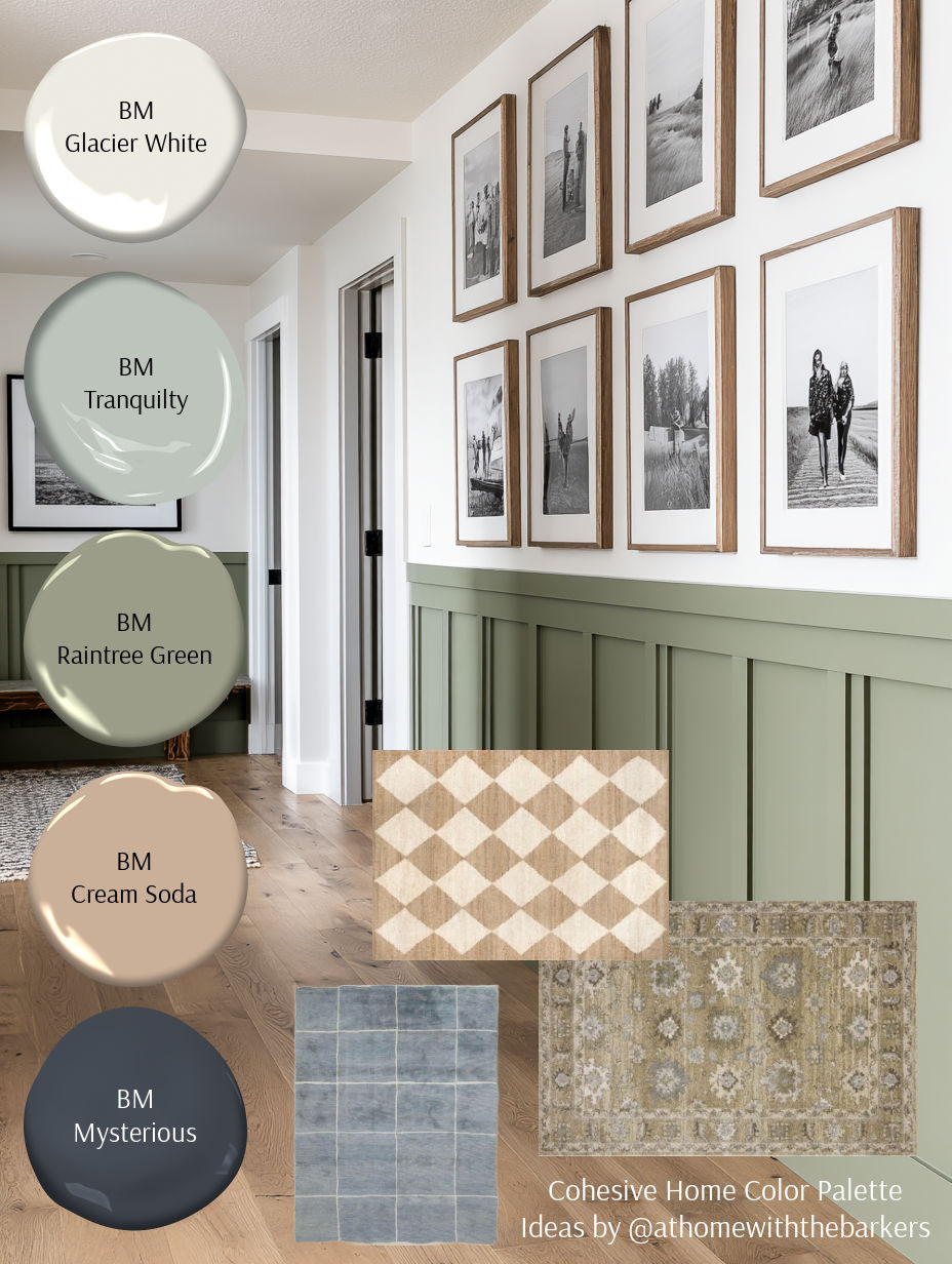 Coordinating rug collection, paint color samples 

 #LTKHome #LTKSaleAlert