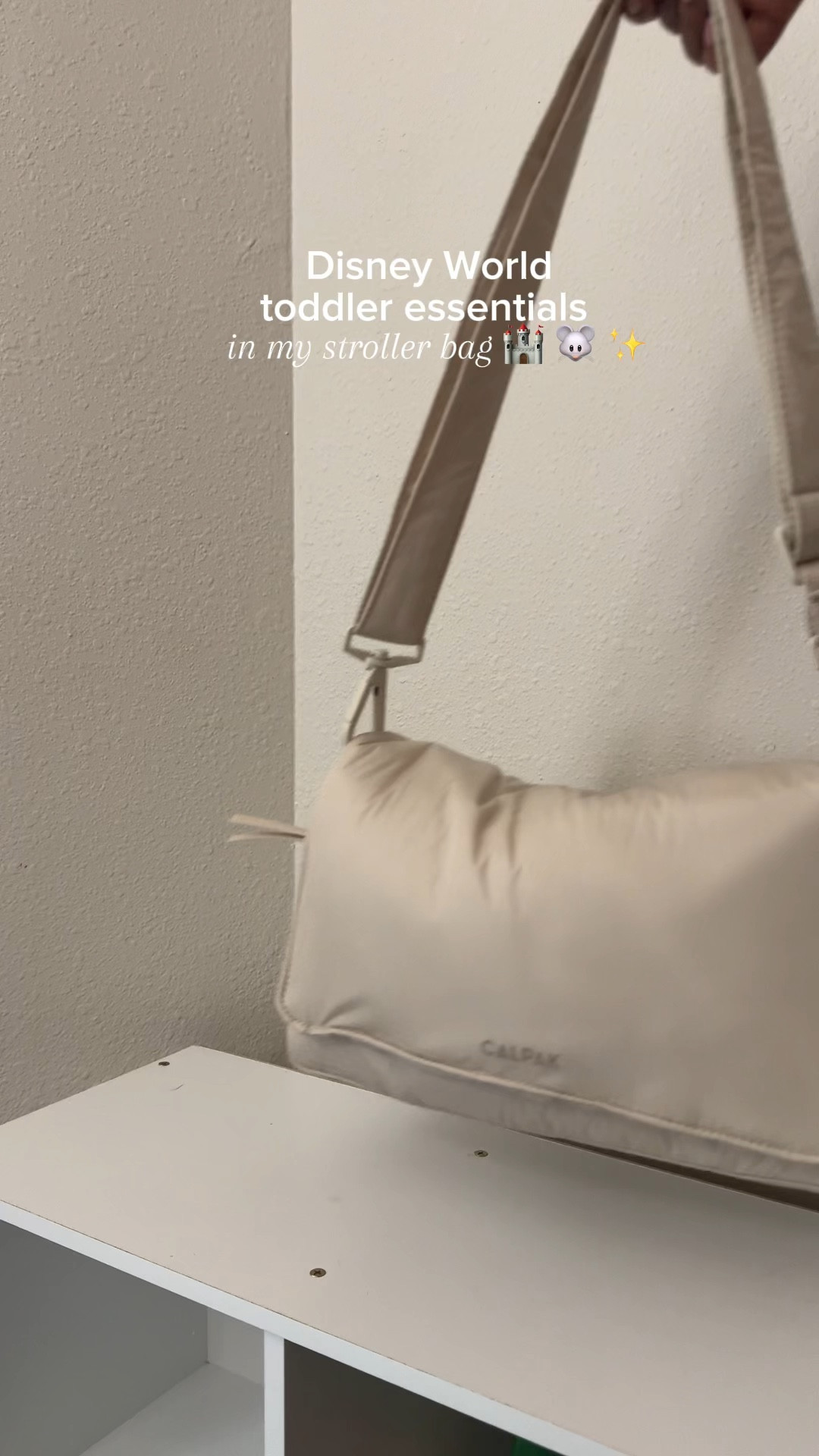 My stroller bag essentials with my toddler at Disney! 

#LTKFamily #LTKTravel #LTKKids