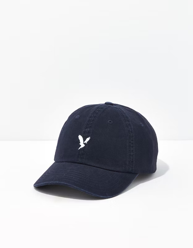 AEO Baseball Hat | American Eagle Outfitters (US & CA)