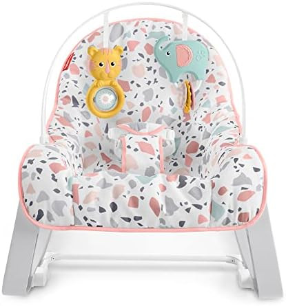 Fisher-Price Infant-to-Toddler Rocker | Amazon (US)