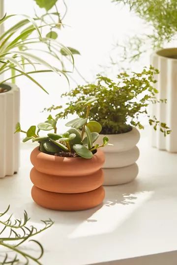 Areaware Mini Stacking Planter | Urban Outfitters (US and RoW)