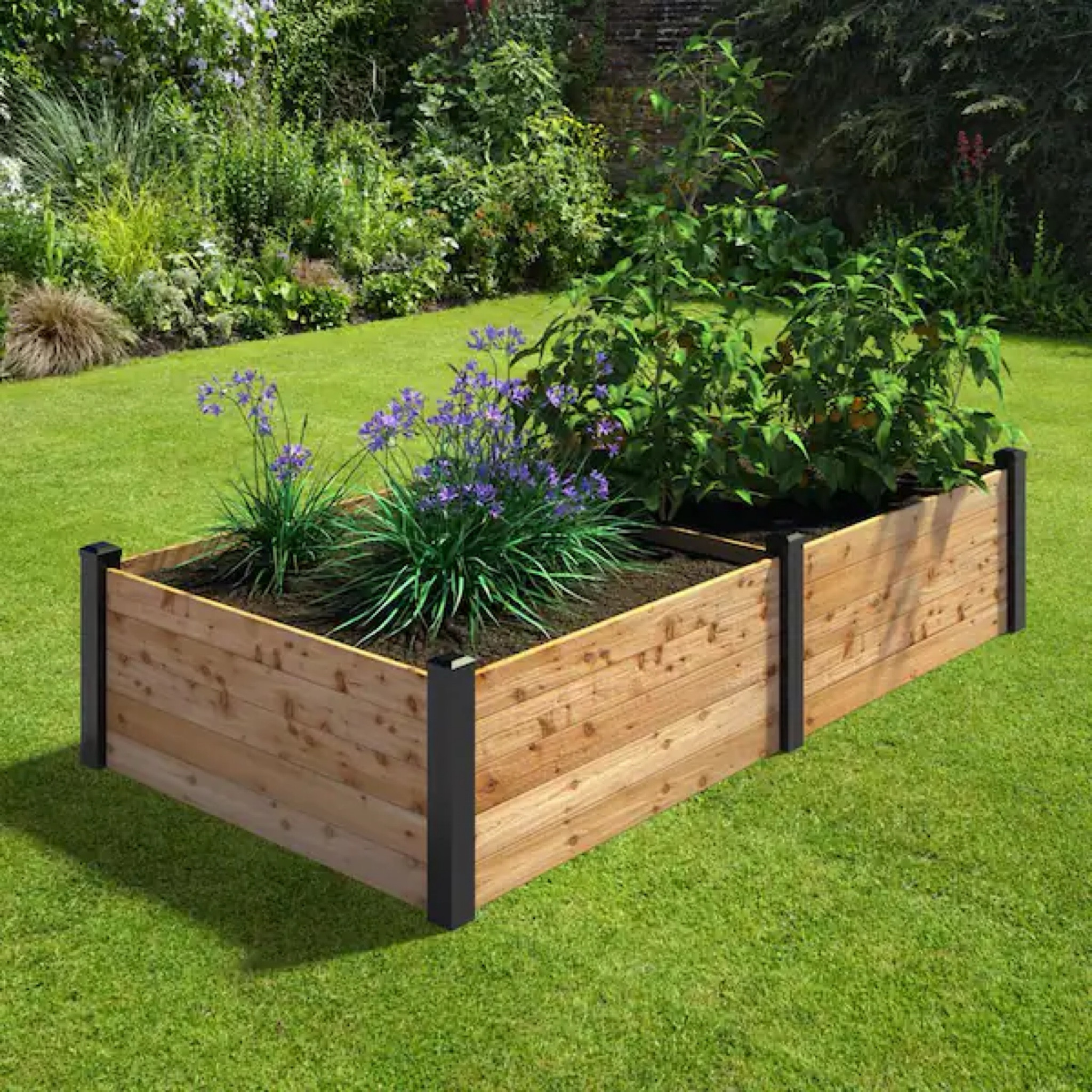 Raised Garden Bed! It’s perfect for your spring garden! Cedar Garden Beds, Garden Beds, Raised Planter Beds, Garden 

#LTKhome