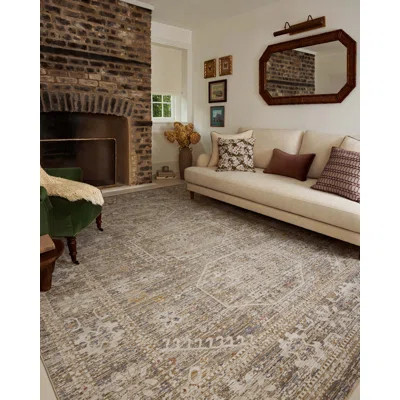 Chris Loves Julia x Loloi Ida Taupe / Multi Area Rug | Wayfair North America