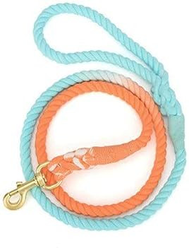 Tie Dyed Handmade Ombre Dog Leash for Large Dogs with Swivel Snap Hook, Pretty Braided Dog Leash, Na | Amazon (US)