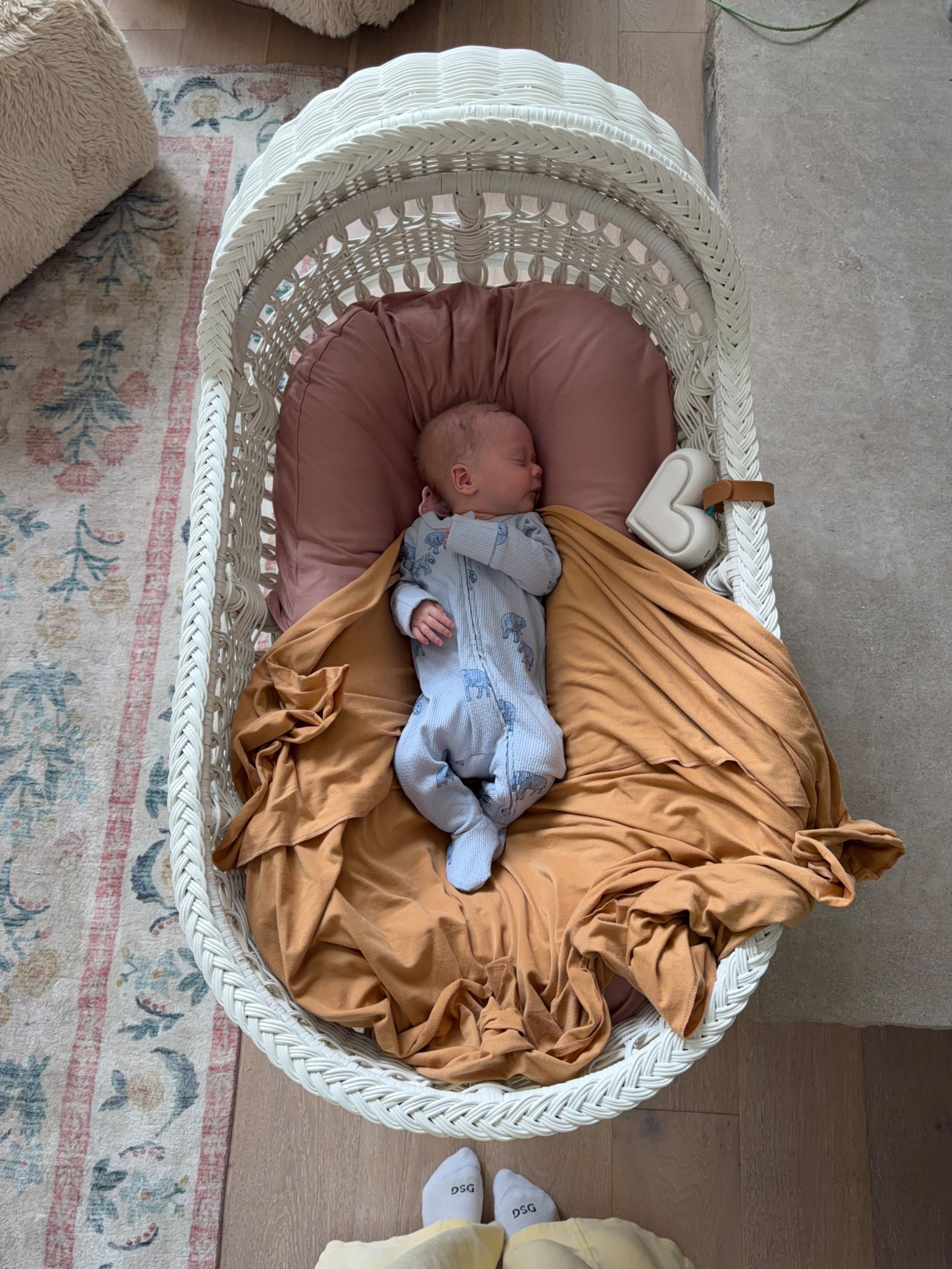 This bassinet is everything!  


#LTKKids #LTKFamily #LTKBaby