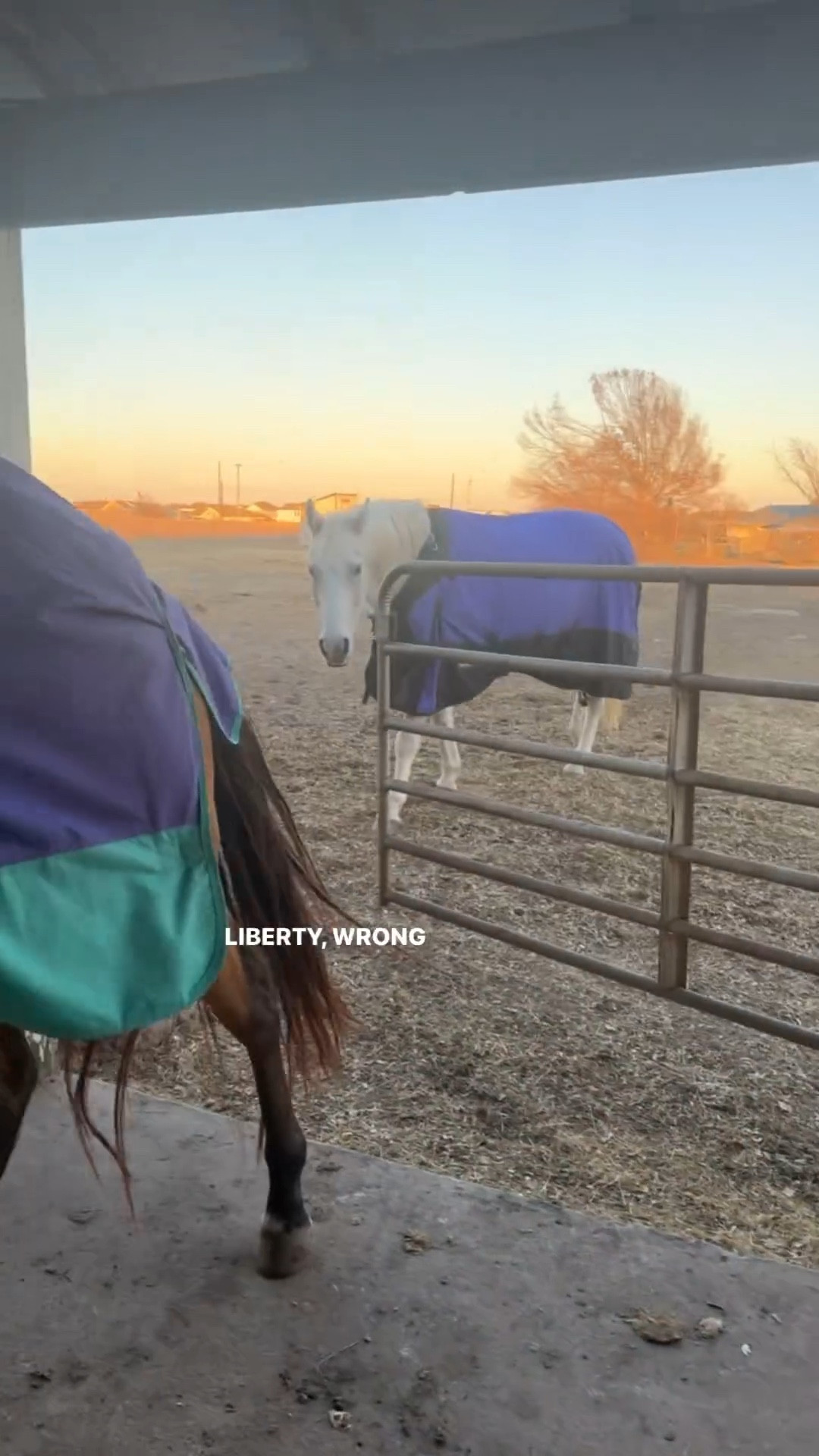 Well that went well… 🤨

Country living, horses, western, equine life, equine chic, country, life, country girl, western fashion, horse girl, momandmanes 

#LTKWatchNow #LTKFamily