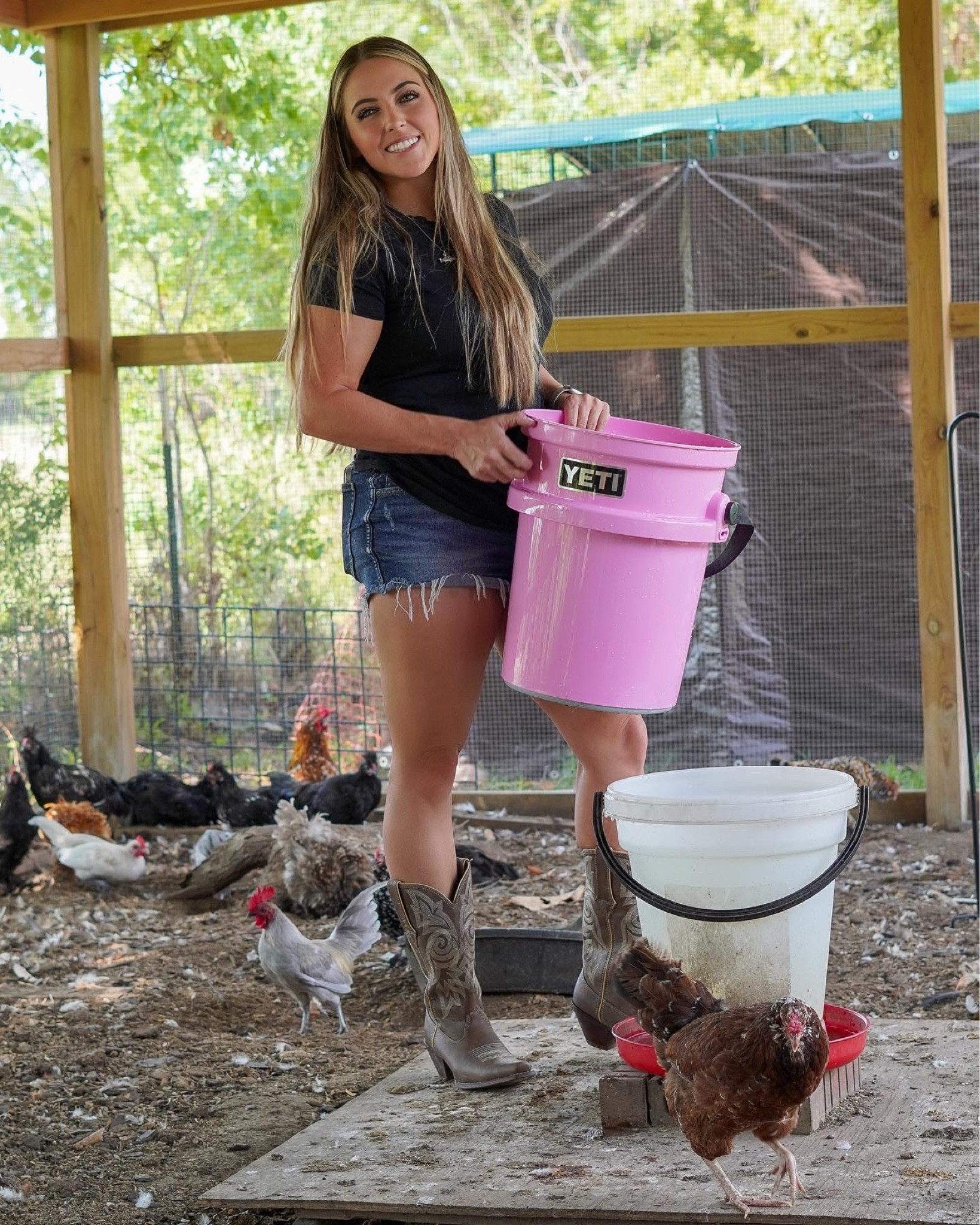 Getting the birds some water!

#LTKHome #LTKFindsUnder100