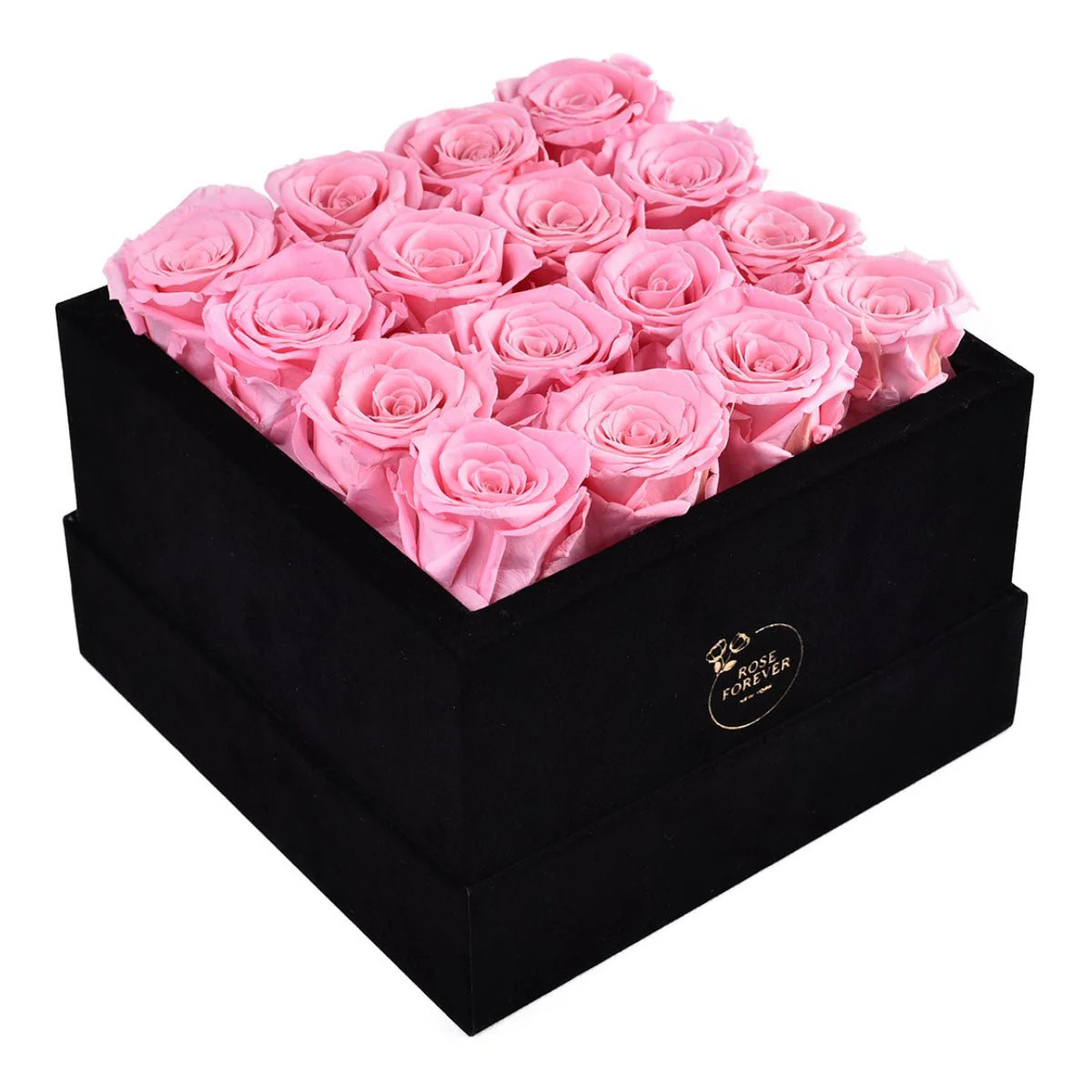 16 Pink Roses - Black Square Velvet Box | Rose Forever 