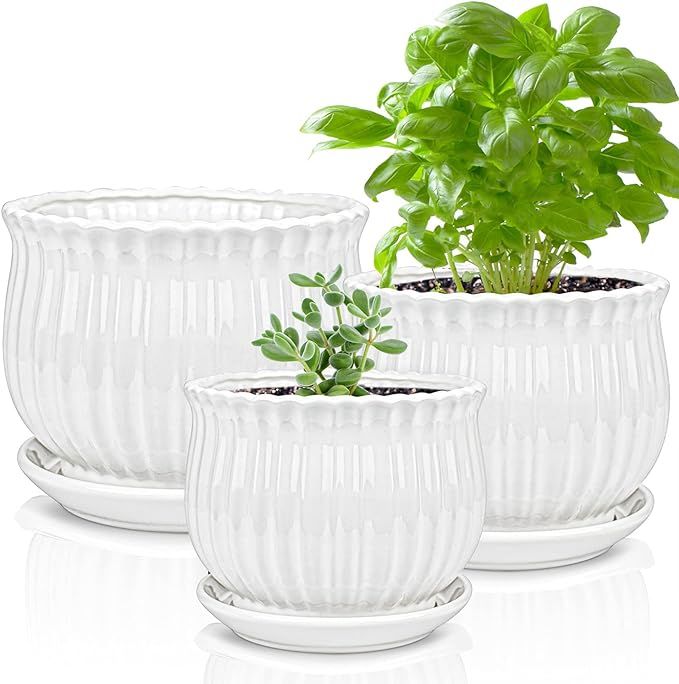 Yesland Ceramic Flower Plant Pots with Saucer, Set of 3 in Different Sizes, Modern Round Ceramic ... | Amazon (US)