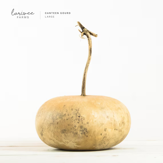 Large Canteen Gourd - Etsy | Etsy (US)