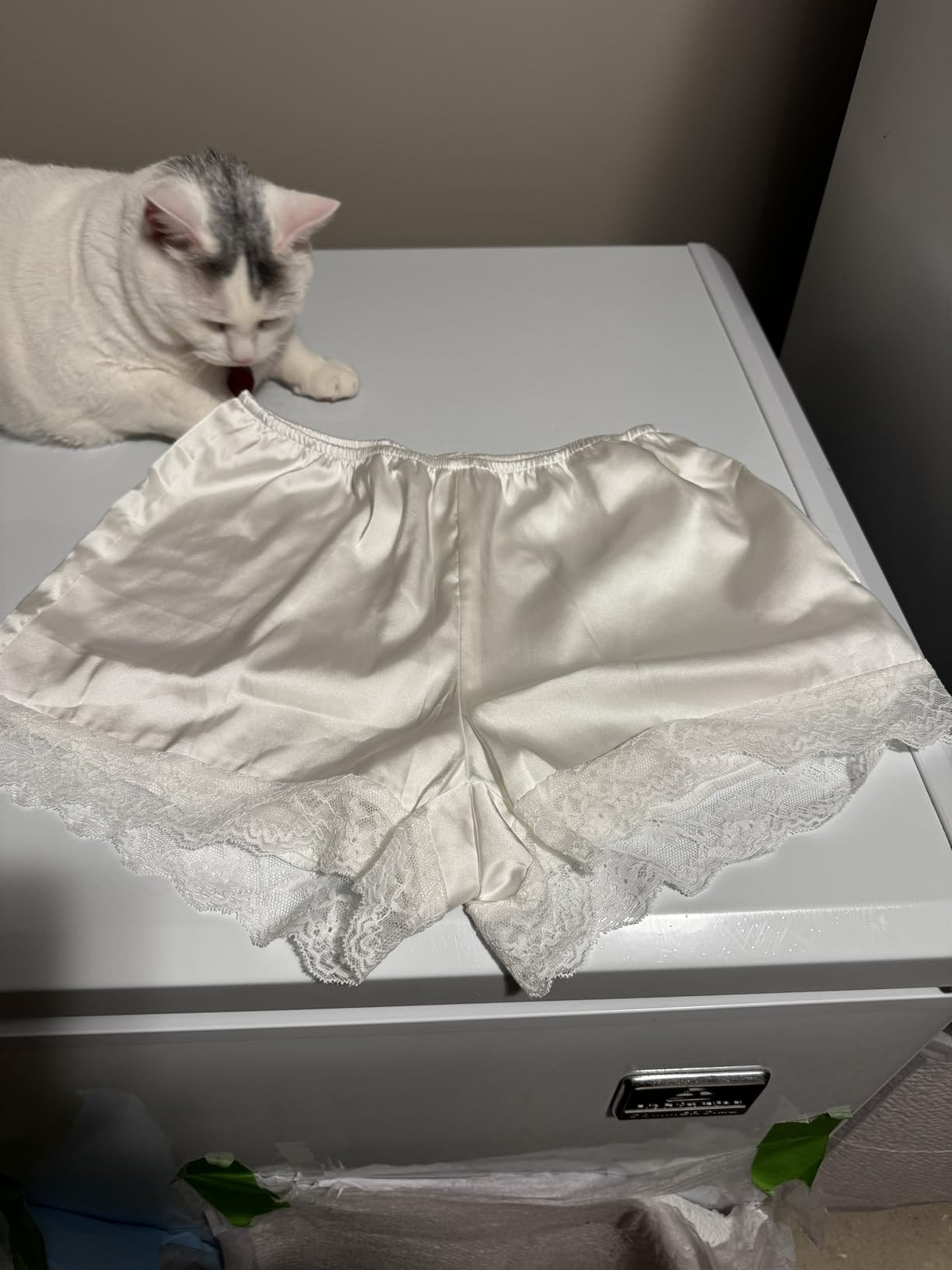 Women's Lace Trim Satin Shorts Shiny Elastic Waist Mini Shorts French Knickers | Amazon (US)