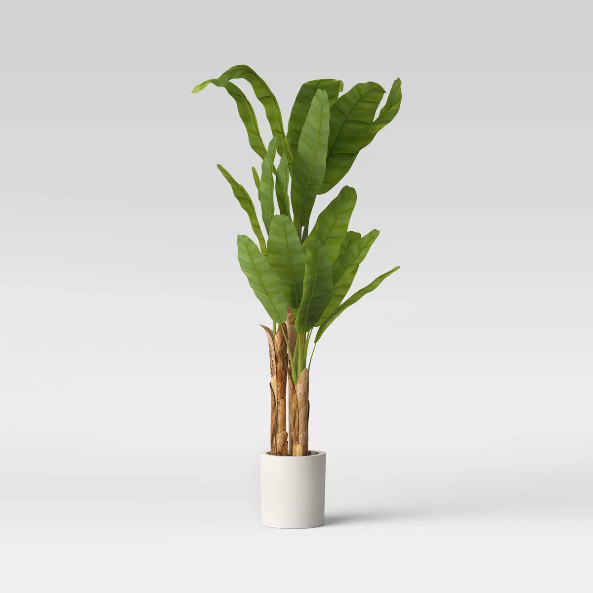 72" Banana Tree in Cement Pot  - Threshold™ | Target