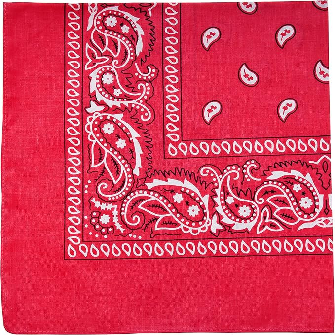 One Piece Novelty Bandanas Paisley Cotton Bandanas | Amazon (US)