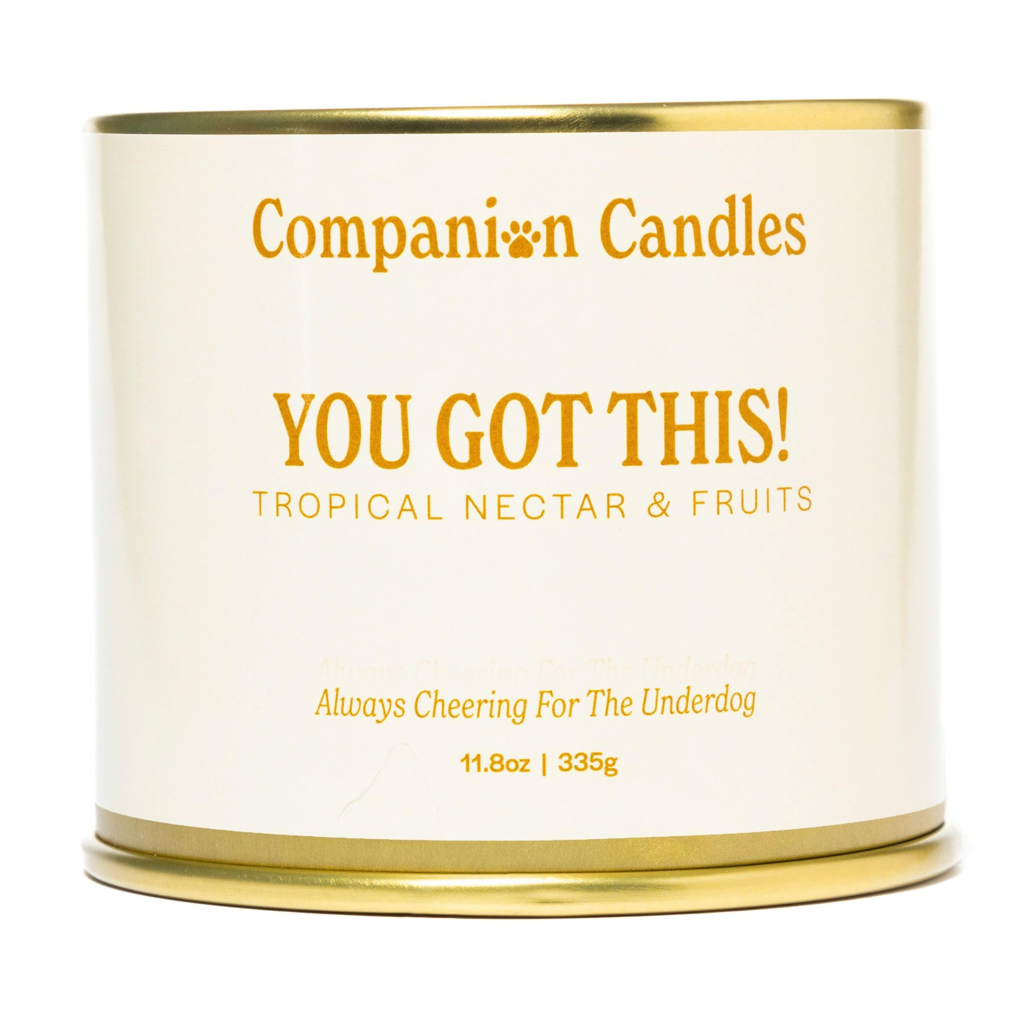 Pet Safe Wood Wick Candle - “You Got This!” Citrus & Tropical Fruits, Coconut Soy Wax Scented... | Amazon (US)