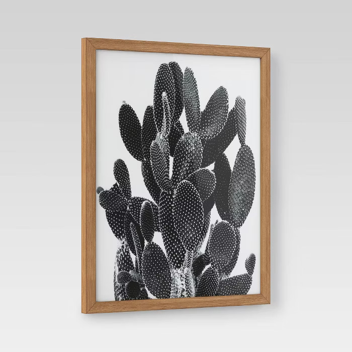 16" x 20" Cactus Framed Print - Project 62™ | Target