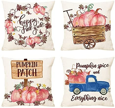 Fall Pink Pumpkin Decorative 18"x 18" Throw Pillow Covers - Autumn Thanksgiving Harvest B... | Amazon (US)