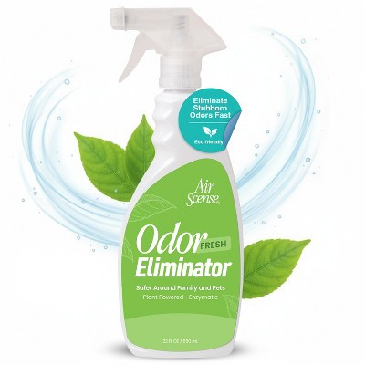 Odor Eliminator 22oz 1 Unit | Target