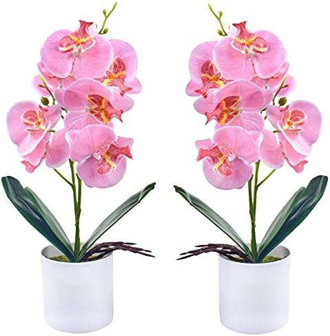 Artificial Orchid Flowers, 2 Pieces Potted Orchid Flowers Fake Orchids with Plastic Vase for Table C | Amazon (US)