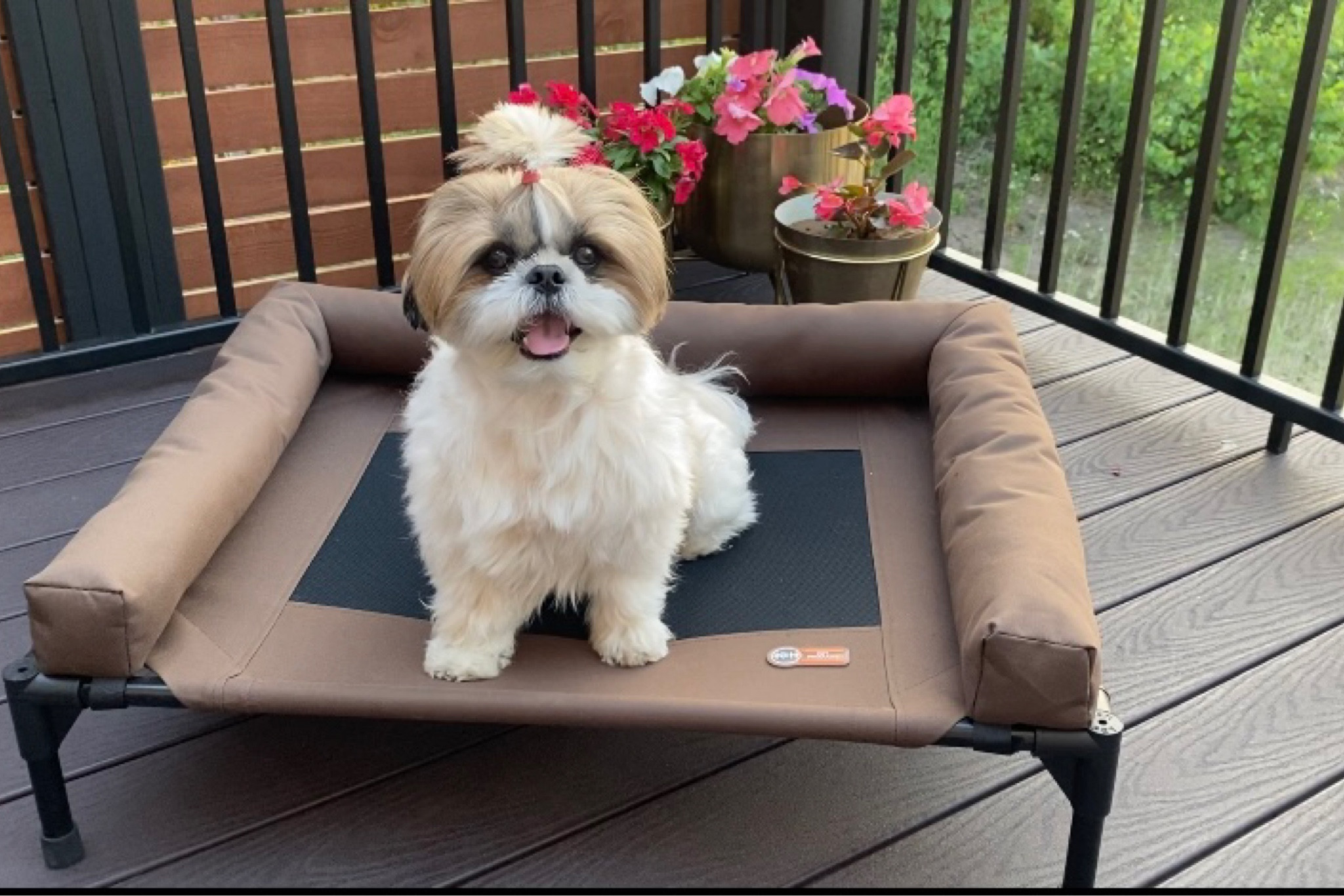 Dog outdoor bed

#LTKFind #LTKfamily #LTKhome
