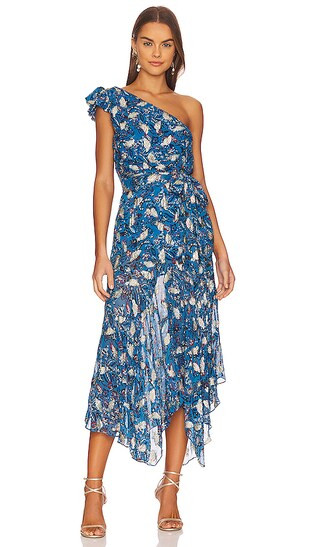 Letizia Print Dress in Azul Garden | Revolve Clothing (Global)