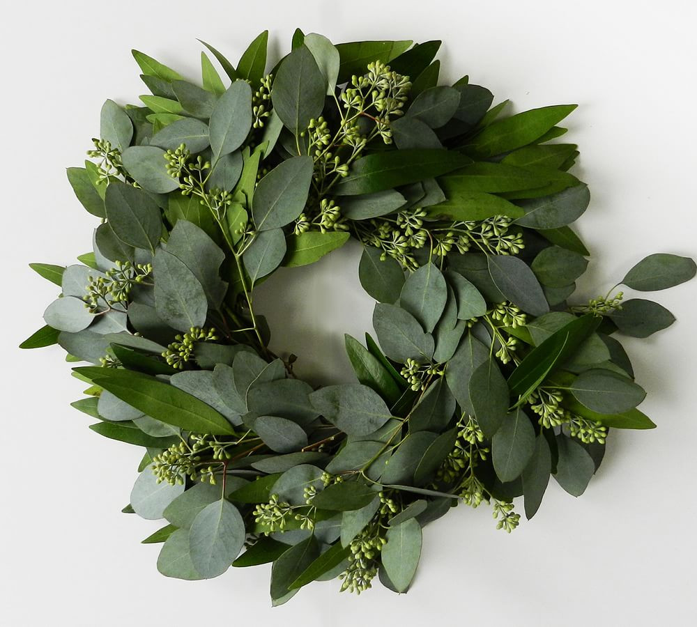 Fresh Bay Leaf and Seeded Eucalyptus Wreath | Pottery Barn (US)